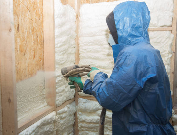 Best Vapor Barrier Installation  in USA